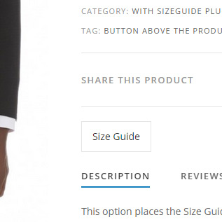  Button above the product title